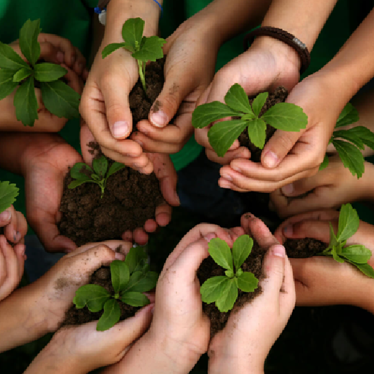 Enviroplan Green Jobs